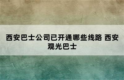 西安巴士公司已开通哪些线路 西安观光巴士